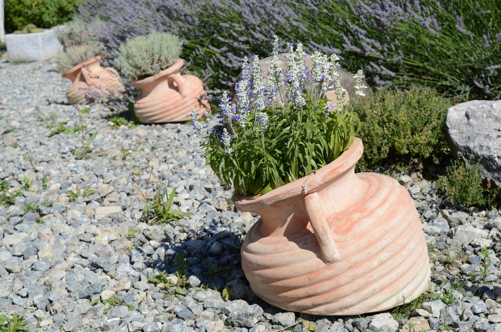 Jardin méditerranéen avec plantes en pots en terre cuite